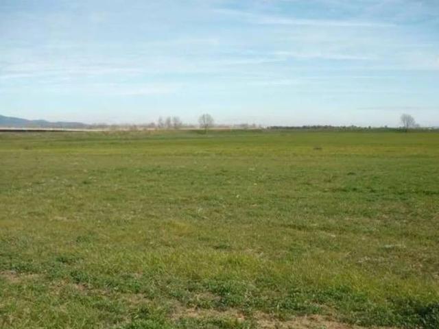 Terreno in vendita a Altamura, Bari