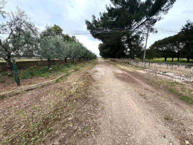 Terreno in vendita a Altamura, Bari