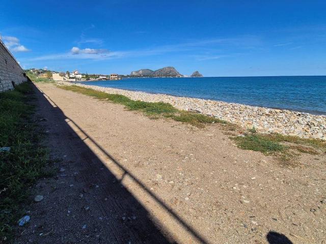 Terreno in vendita a Altavilla Milicia, Sicilia