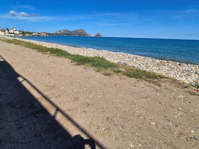 Terreno in vendita a Altavilla Milicia, Sicilia