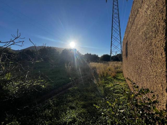 Terreno in vendita a Altavilla Milicia, Sicilia