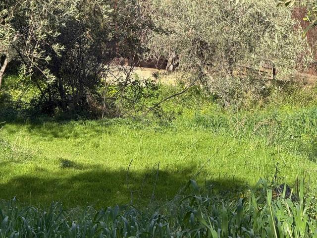 Terreno in vendita a San Michele, Altavilla Milicia