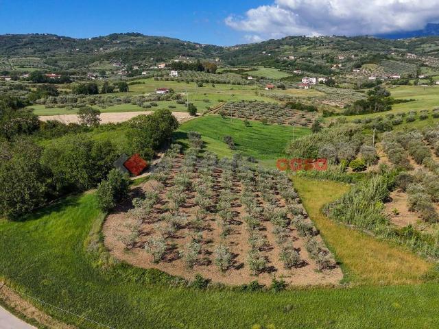 Terreno in vendita a Albanella, Campania