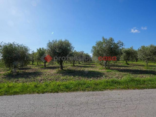 Terreno in vendita a Altavilla Silentina, Campania