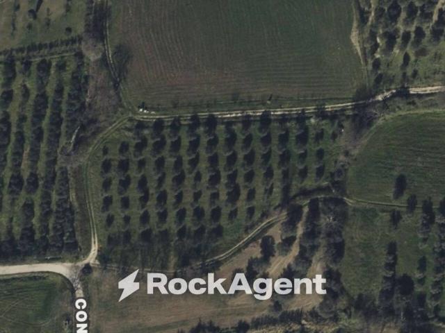 Terreno in vendita a Altavilla Silentina, Campania