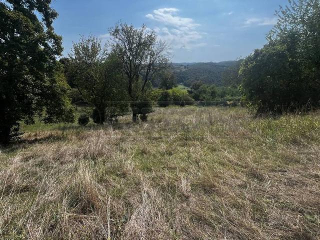 Terreno in vendita a Altavilla Vicentina, Veneto