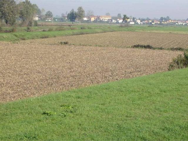 Terreno in vendita a Unione dei Comuni Circondario dell'Empolese Valdelsa, Altopascio