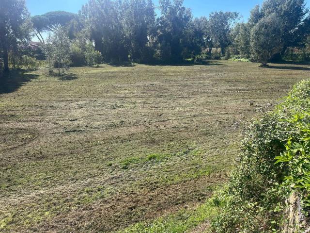 Terreno in vendita a Altopascio, Toscana