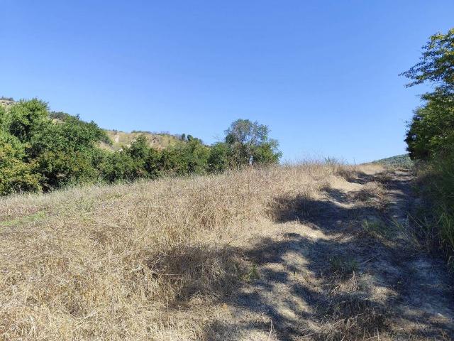 Terreno in vendita a Alviano Scalo, Alviano