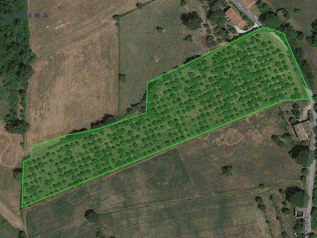 Terreno in vendita a Alvito, Lazio