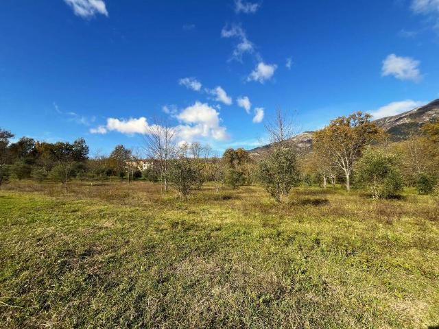 Terreno in vendita a Alvito, Lazio