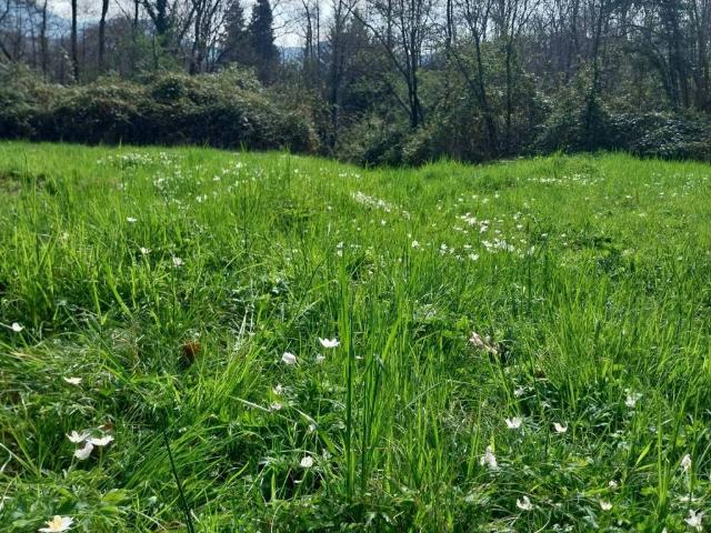 Terreno in vendita a Grumello, Alzano Lombardo