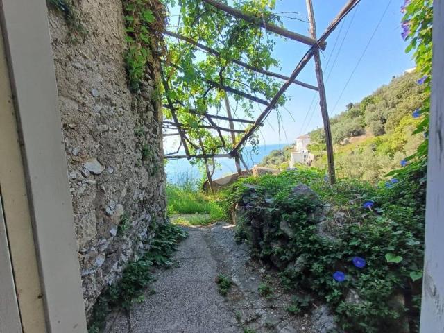 Terreno in vendita a Amalfi, Campania