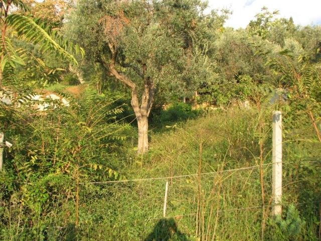 Terreno in vendita a Amantea, Cosenza