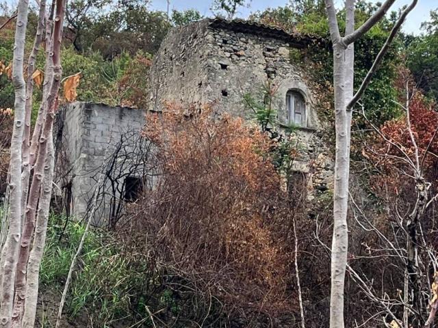 Terreno in vendita a Calabria, Cosenza