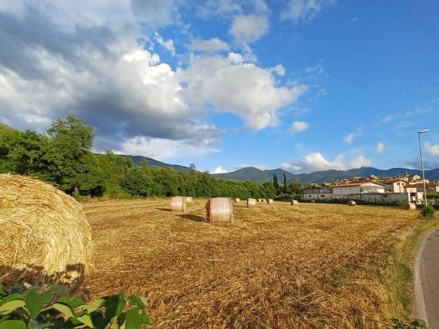 Terreno in vendita a Amaseno, Lazio