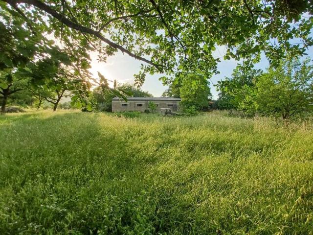 Terreno in vendita a Amaseno, Lazio