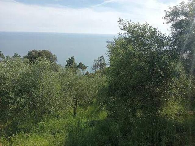 Terreno in vendita a Ameglia, Liguria