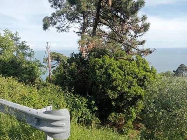 Terreno in vendita a Ameglia, Liguria