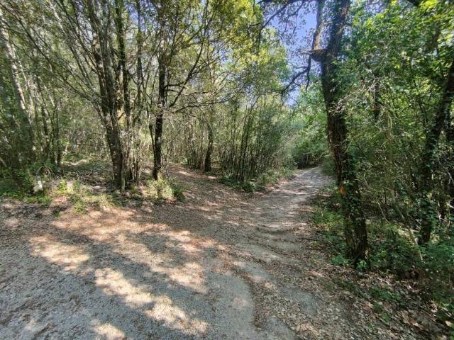 Terreno in vendita a Amelia, Umbria