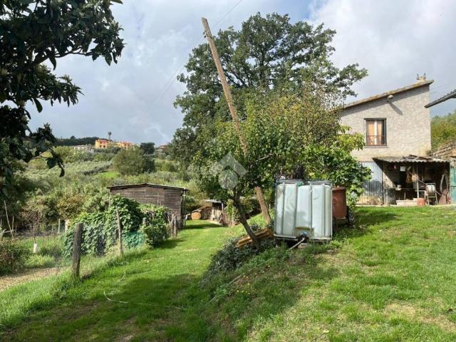 Terreno in vendita a Amelia, Umbria
