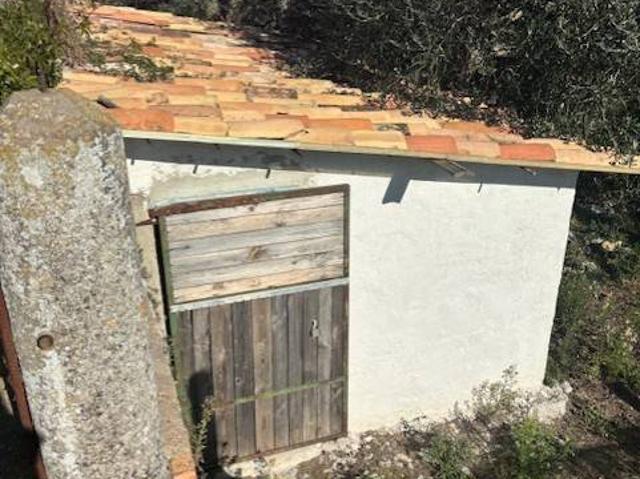 Terreno in vendita a Amelia, Umbria