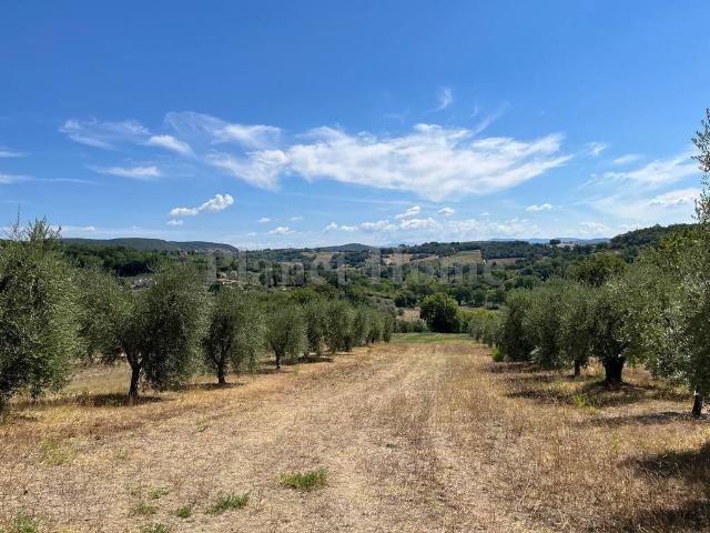 Terreno in vendita a Amelia, Umbria