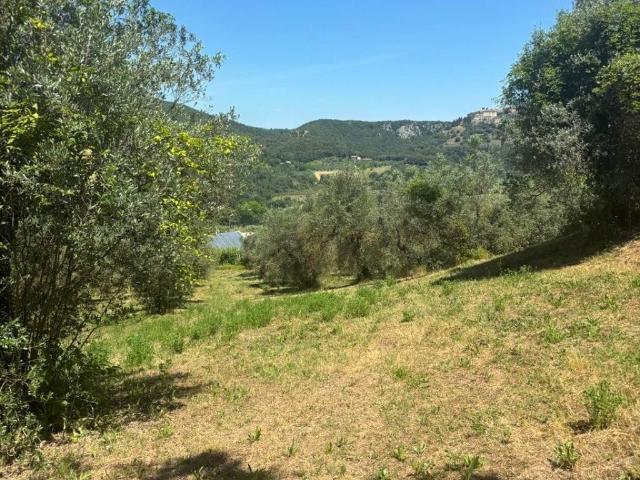 Terreno in vendita a Amelia, Umbria