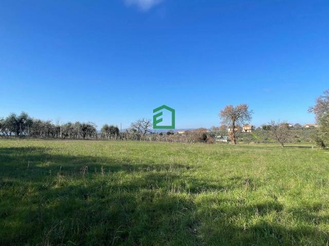 Terreno in vendita a Amelia, Umbria