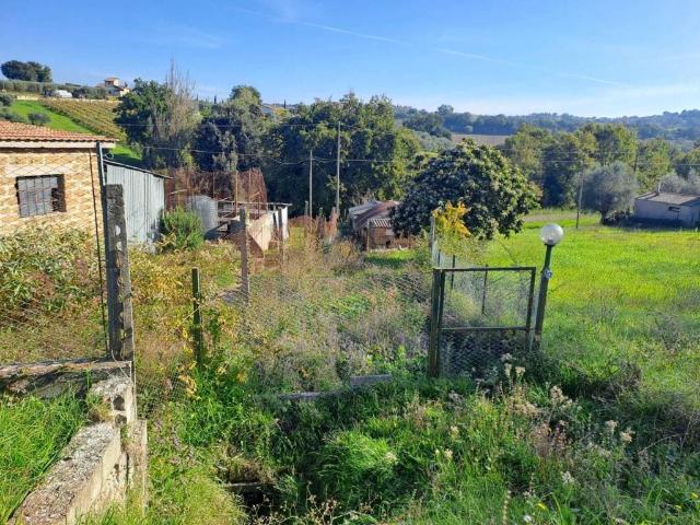 Terreno in vendita a Amelia, Umbria