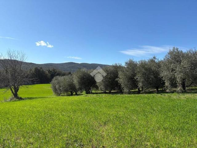 Terreno in vendita a Amelia, Umbria