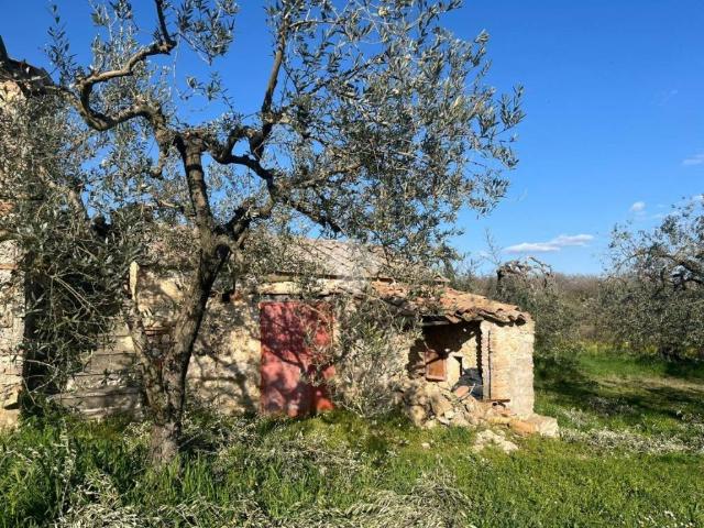 Terreno in vendita a Amelia, Umbria
