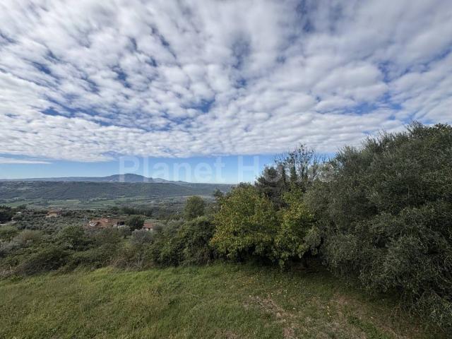Terreno in vendita a Amelia, Umbria