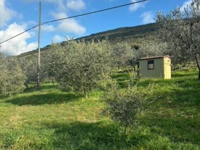 Terreno in vendita a Archileggi, Amelia