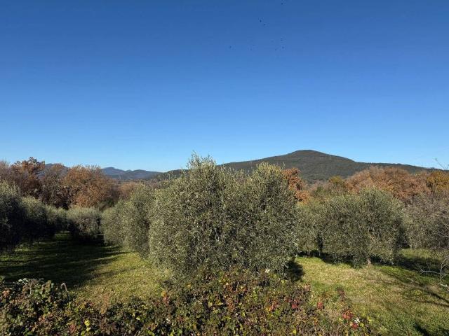 Terreno in vendita a Archileggi, Amelia