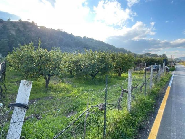Terreno in vendita a Calabria, Cosenza