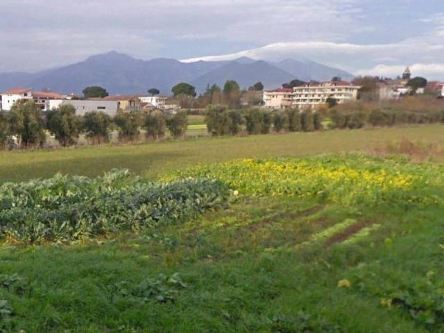 Terreno in vendita a Amorosi, Campania