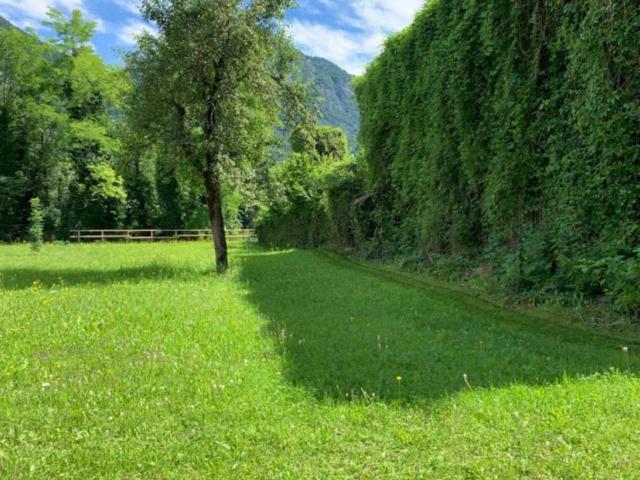 Terreno in vendita a Ampezzo, Friuli-Venezia Giulia