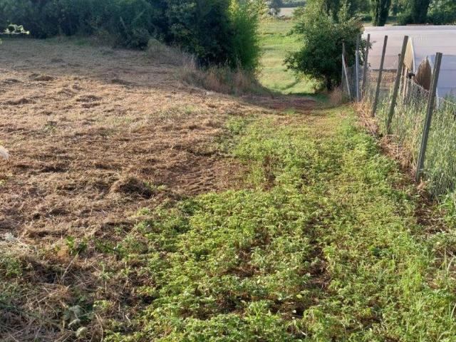 Terreno in vendita a Sgurgola, Frosinone
