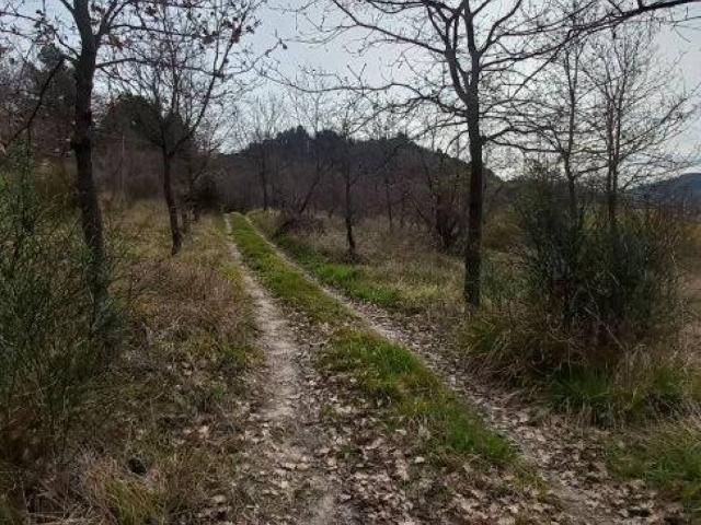 Terreno in vendita a Marche, Ancona