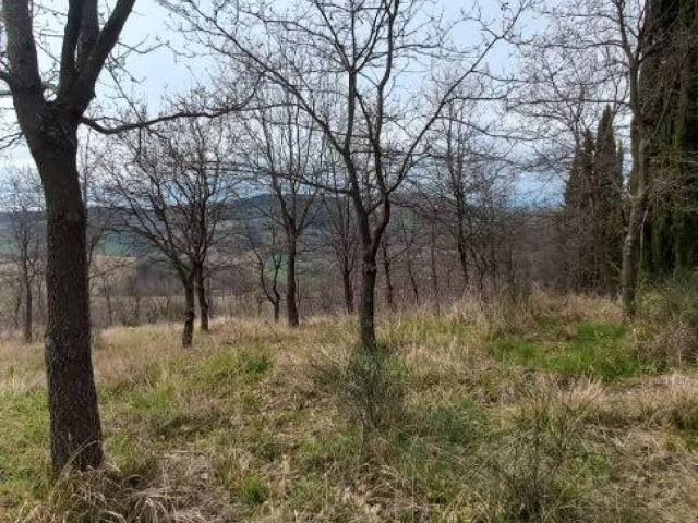 Terreno in vendita a Marche, Ancona