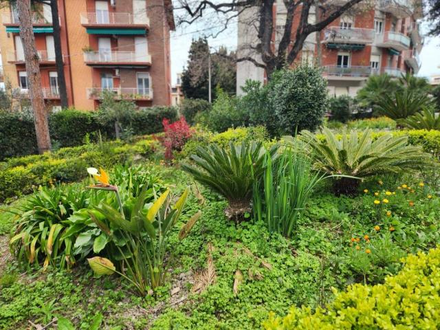 Terreno in vendita a Marche, Ancona