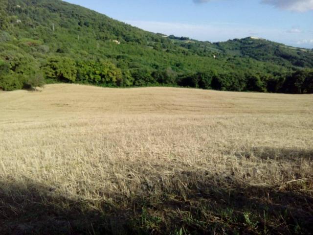 Terreno in vendita a Marche, Ancona