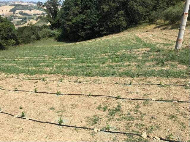 Terreno in vendita a Marche, Ancona
