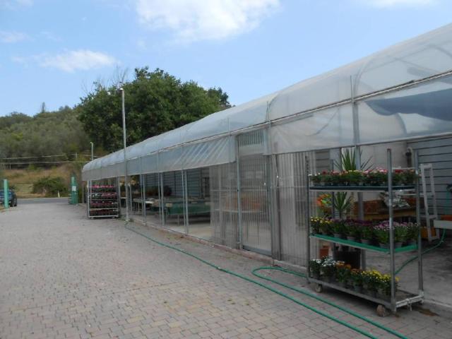 Terreno in vendita a Marche, Ancona