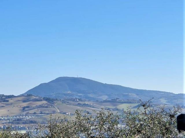 Terreno in vendita a Baraccola Ovest, Marche
