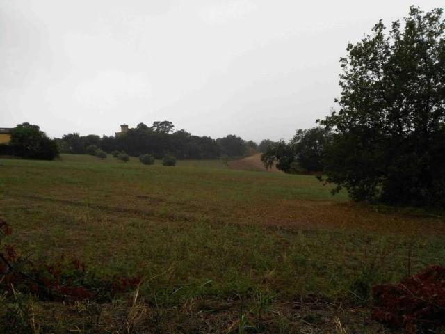 Terreno in vendita a Marche, Ancona