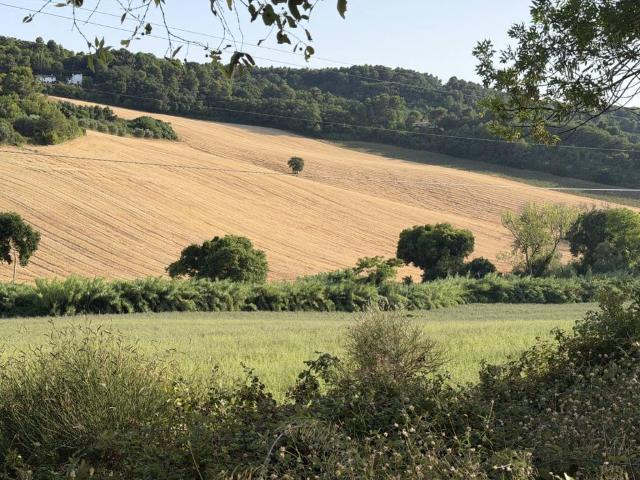 Terreno in vendita a Marche, Ancona