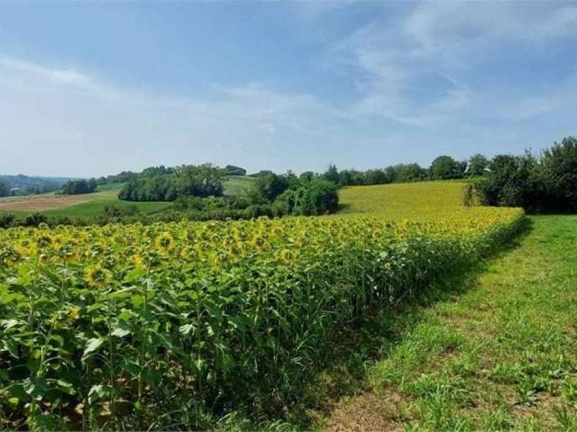 Terreno in vendita a Piemonte, Torino