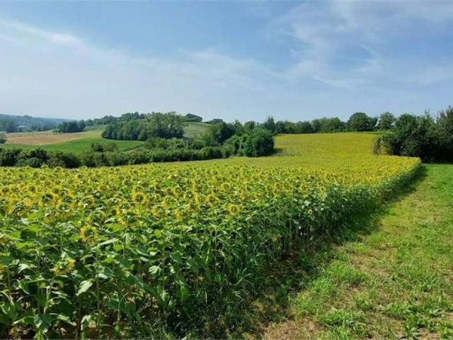 Terreno in vendita a Piemonte, Torino